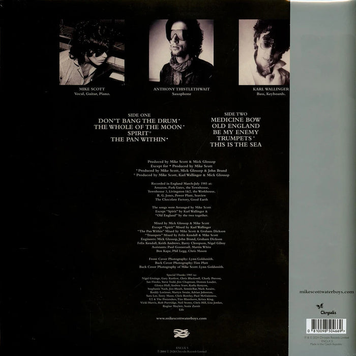 The Waterboys – This Is The Sea (Clear vinyl) LP vinyl record, image 2 of 3