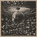 Neil Young – Mirror Ball (2xLP) LP vinyl record, image 2 of 3
