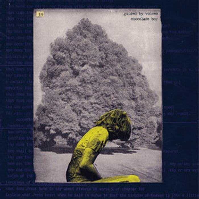 Guided By Voices – Chocolate Boy (LP, Vinyl Record Album)