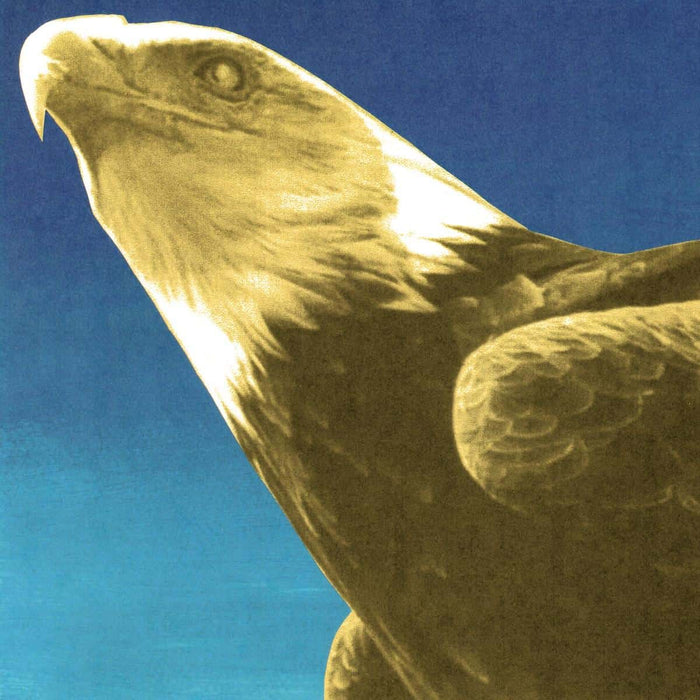 Protomartyr – Hotel Usona LP vinyl record, image 1 of 2