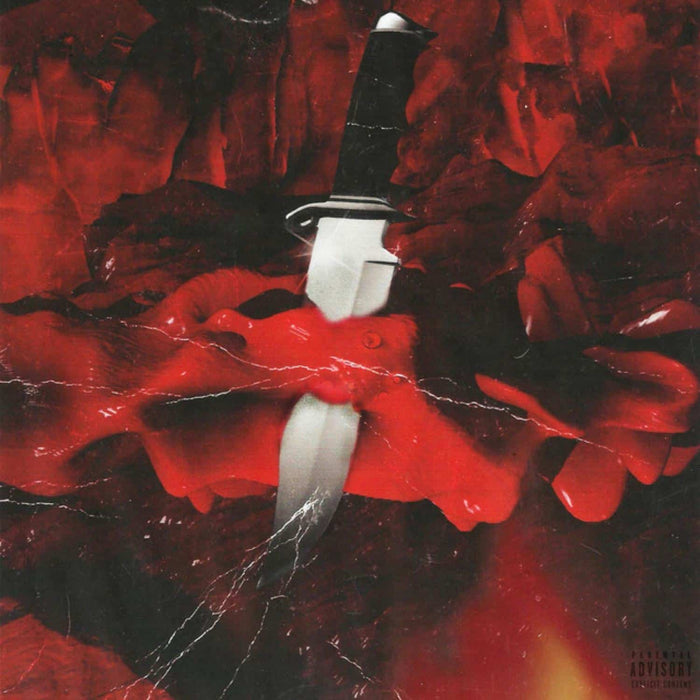 21 Savage & Metro Boomin – Savage Mode (10th Anniversary Edition) LP vinyl record, image 1 of 2
