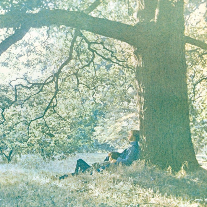 Yoko Ono, The Plastic Ono Band – Plastic Ono Band (LP, Vinyl Record Album)