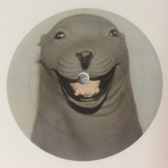 Skratchy Seal – Sealed Breaks (LP, Vinyl Record Album)