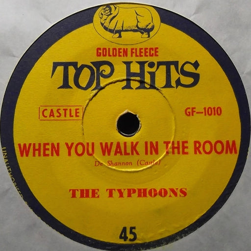 The Typhoons, Joan Baxter – When You Walk In The Room (LP, Vinyl Record Album)