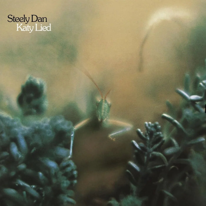 Steely Dan – Katy Lied (LP, Vinyl Record Album)