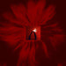 Floating Points - Mere Mortals LP vinyl record, image 1 of 2