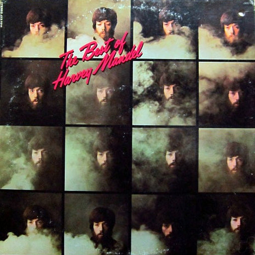 Harvey Mandel – The Best Of Harvey Mandel (LP, Vinyl Record Album)