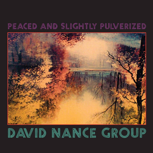 David Nance Group – Peaced And Slightly Pulverized (LP, Vinyl Record Album)
