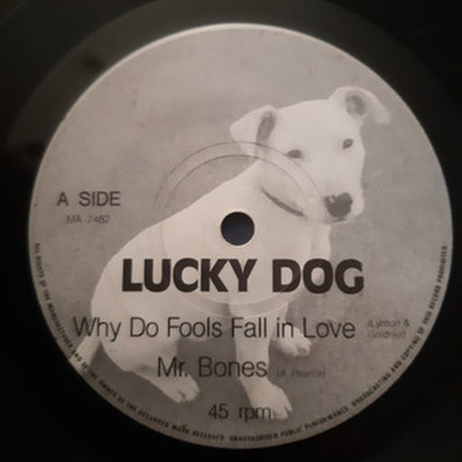 Lucky Dog – Why Do Fools Fall In Love? (LP, Vinyl Record Album)