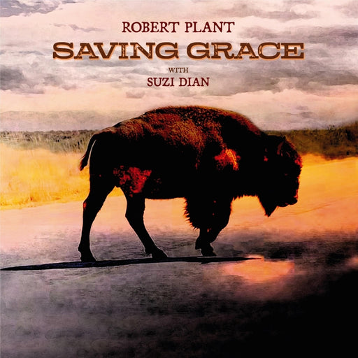 Robert Plant, Suzi Dian – Saving Grace (LP, Vinyl Record Album)
