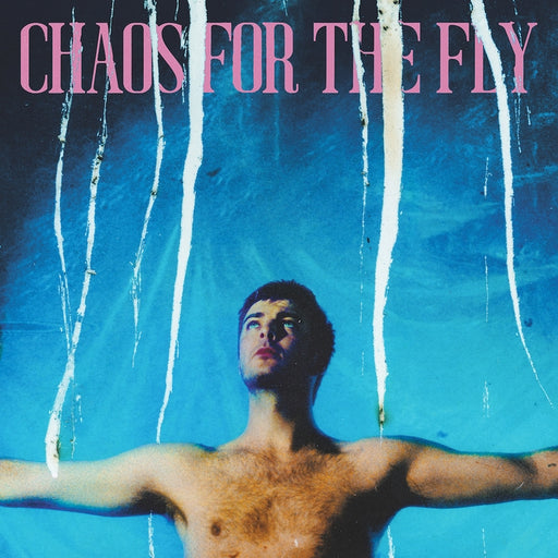 Grian Chatten – Chaos For The Fly (LP, Vinyl Record Album)