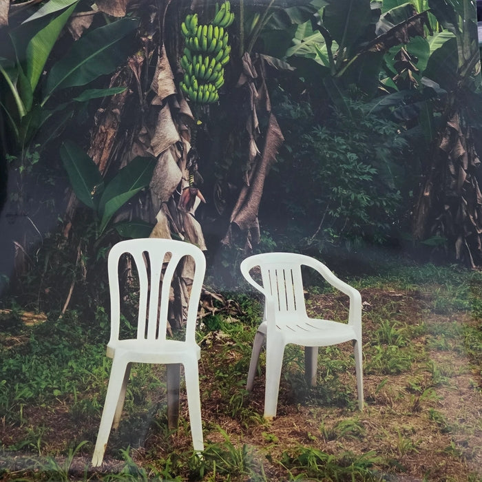 Bad Bunny – Debi Tirar Mas Fotos