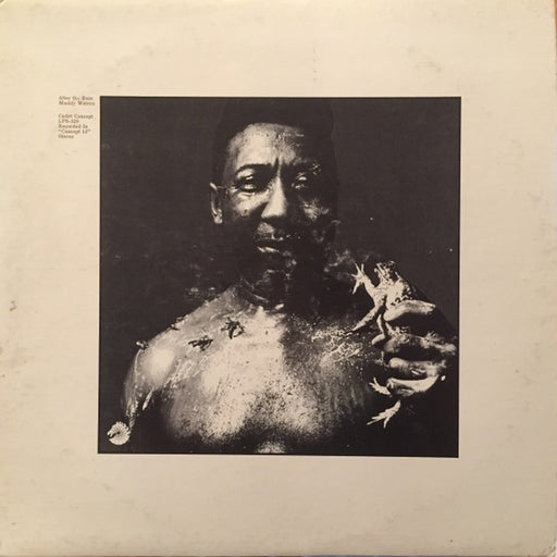 Muddy Waters – After The Rain (LP, Vinyl Record Album)
