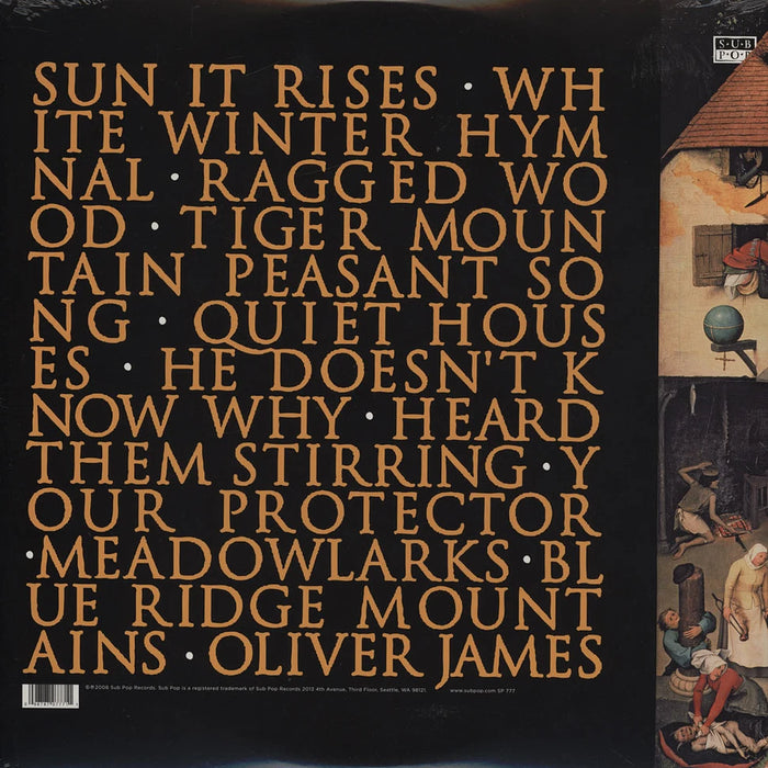 Fleet Foxes – Fleet Foxes (2xLP) LP vinyl record, image 2 of 2