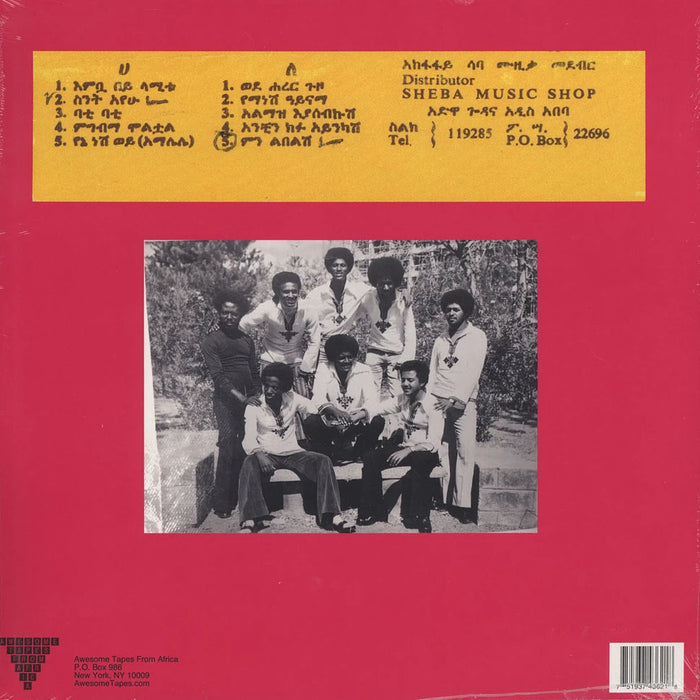 Hailu Mergia, Dahlak Band – Wede Harer Guzo (2xLP) LP vinyl record, image 2 of 2