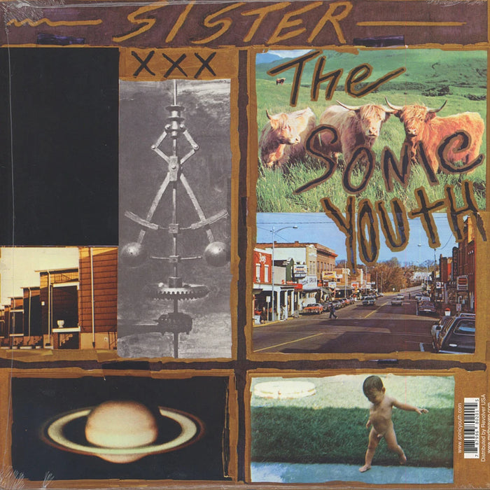 Sonic Youth – Sister LP vinyl record, image 2 of 2