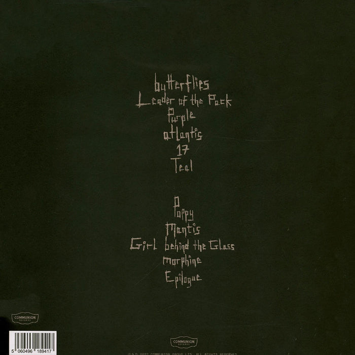 Wunderhorse – Cub LP vinyl record, image 2 of 3