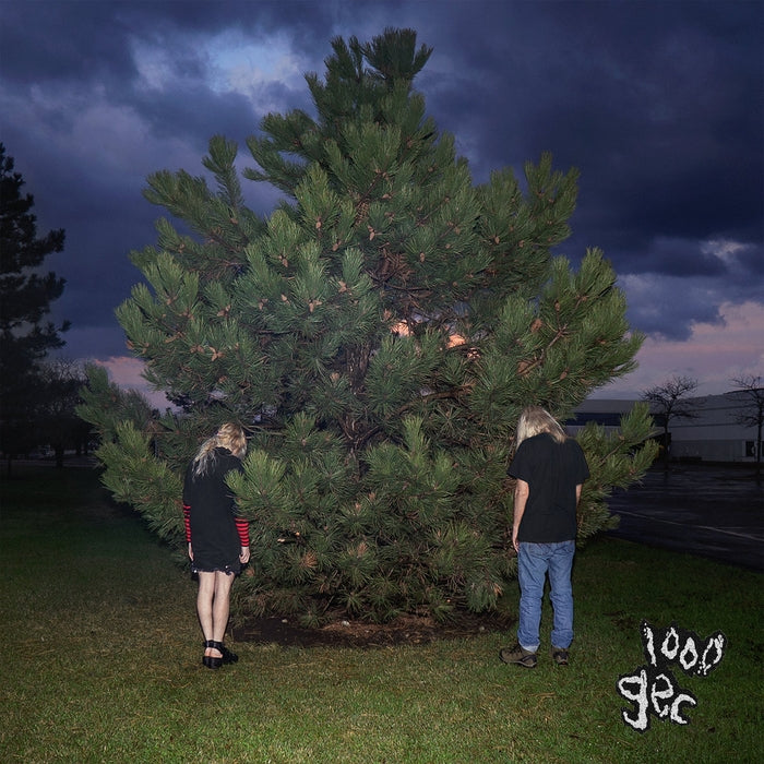 100 Gecs – 1000 Gecs (LP, Vinyl Record Album)
