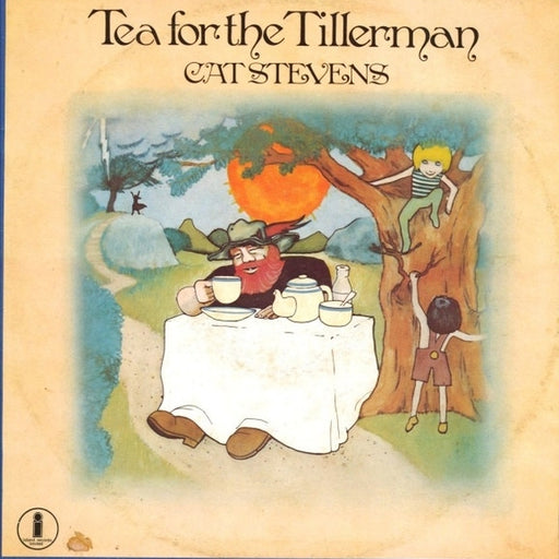 Cat Stevens – Tea For The Tillerman (LP, Vinyl Record Album)