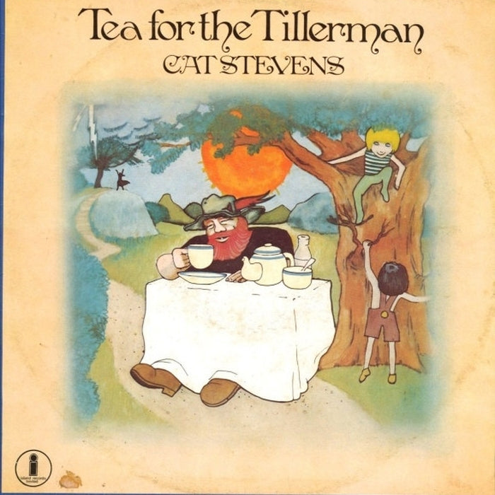 Cat Stevens – Tea For The Tillerman (LP, Vinyl Record Album)