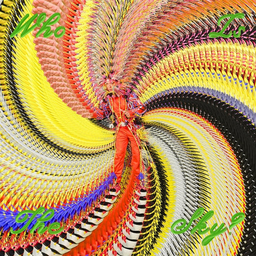 David Byrne, Ghost Train Orchestra – Who Is The Sky? (LP, Vinyl Record Album)