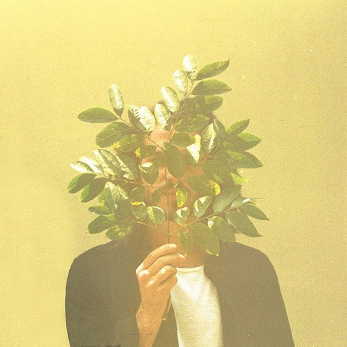 FKJ (French Kiwi Juice) – French Kiwi Juice (2xLP) LP vinyl record, image 1 of 3