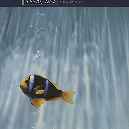 The Big Dish – Swimmer (LP, Vinyl Record Album)