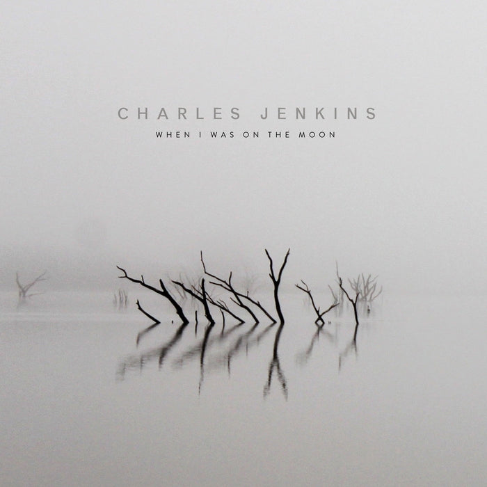 Charles Jenkins – When I Was On The Moon (LP, Vinyl Record Album)