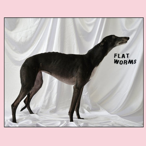 Flat Worms – Flat Worms (LP, Vinyl Record Album)