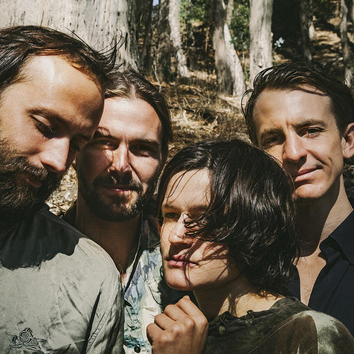 Big Thief – Two Hands LP vinyl record, image 1 of 3
