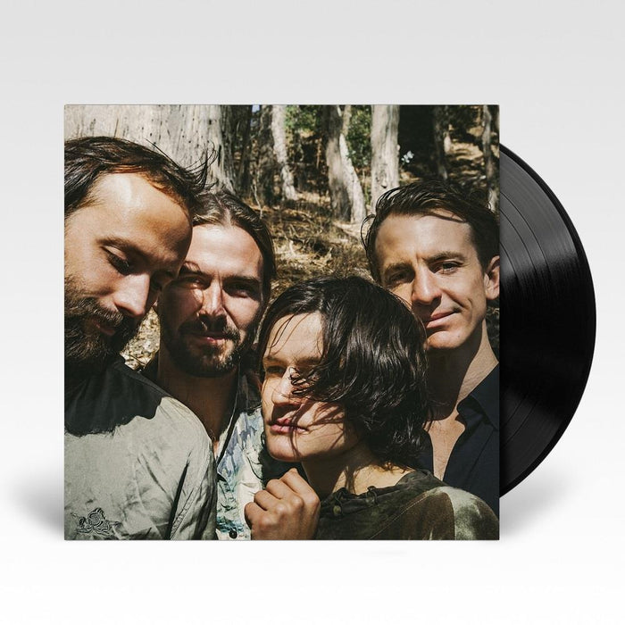 Big Thief – Two Hands LP vinyl record, image 3 of 3