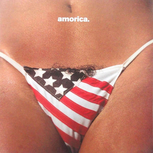 The Black Crowes – Amorica (LP, Vinyl Record Album)