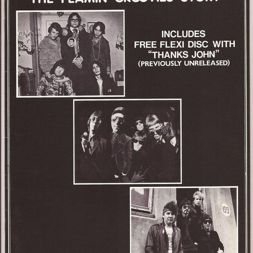 The Flamin' Groovies – Thanks John (LP, Vinyl Record Album)