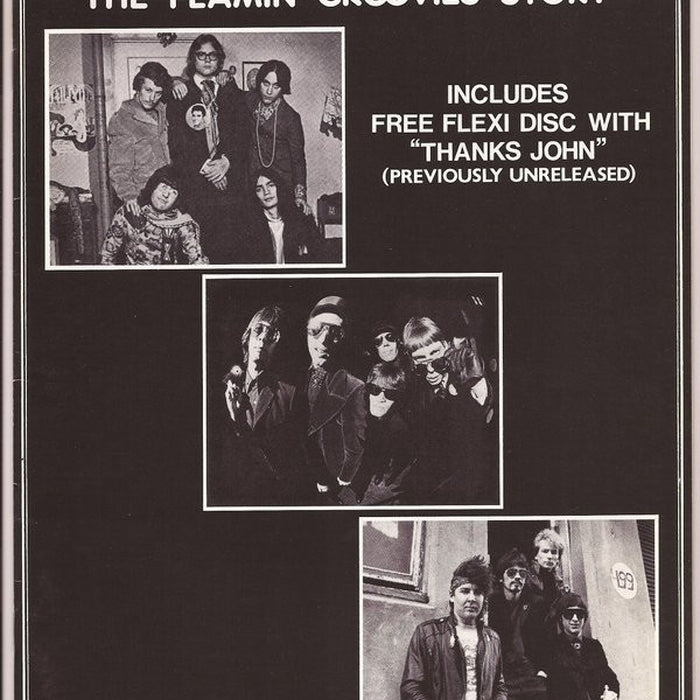 The Flamin' Groovies – Thanks John (LP, Vinyl Record Album)