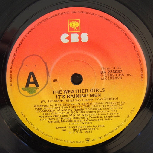 The Weather Girls – It's Raining Men (LP, Vinyl Record Album)