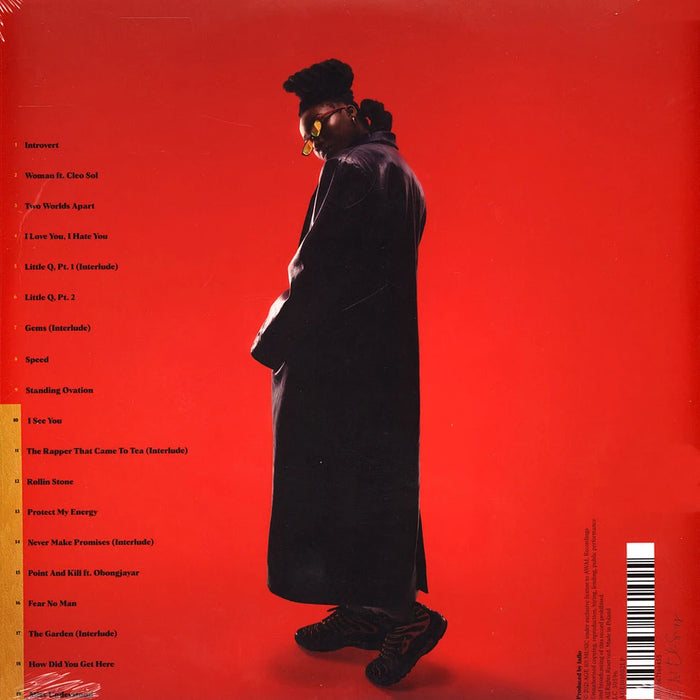 Little Simz – Sometimes I Might Be Introvert (2xLP) LP vinyl record, image 2 of 3
