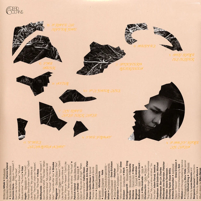 Mitski – The Land Is Inhospitable And So Are We LP vinyl record, image 2 of 3