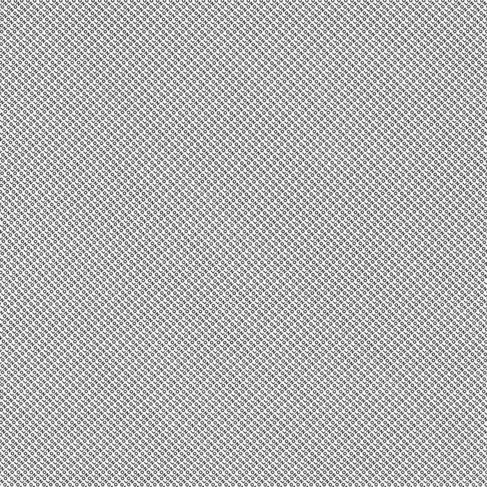 Ólafur Arnalds, Nils Frahm – Loon LP vinyl record, image 1 of 2