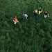 Parcels – LOVED - Image 1