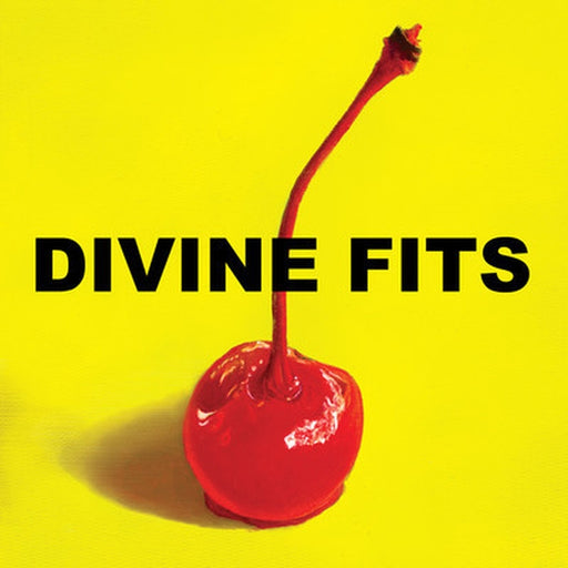 Divine Fits – A Thing Called Divine Fits (LP, Vinyl Record Album)