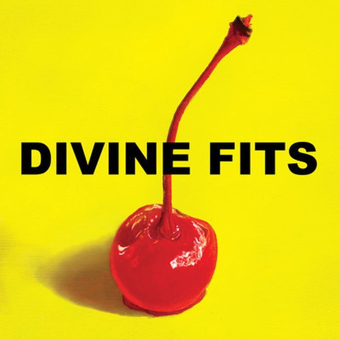 Divine Fits – A Thing Called Divine Fits (LP, Vinyl Record Album)