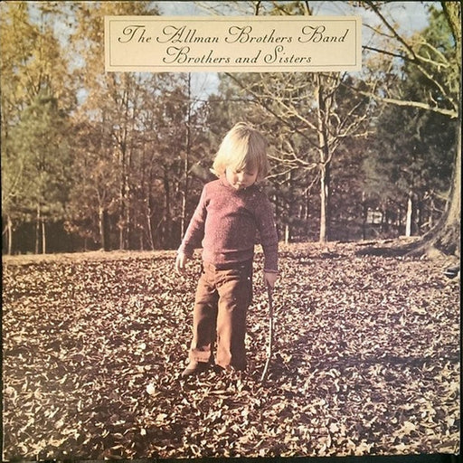 The Allman Brothers Band – Brothers And Sisters (LP, Vinyl Record Album)