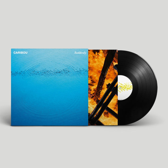Caribou – Suddenly - Image 2