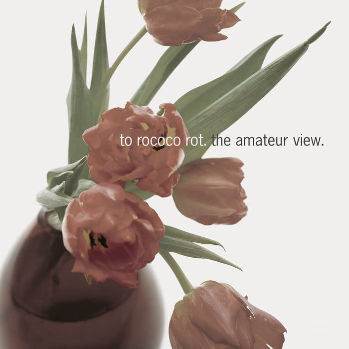To Rococo Rot – The Amateur View (2xLP, Expanded 2025 Edition) LP vinyl record, image 1 of 2