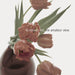 To Rococo Rot – The Amateur View (2xLP, Expanded 2025 Edition) LP vinyl record, image 1 of 2