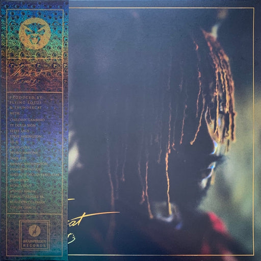 Thundercat – It Is What It Is (LP, Vinyl Record Album)