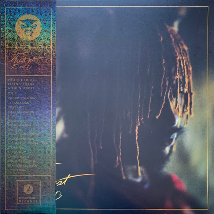 Thundercat – It Is What It Is (LP, Vinyl Record Album)
