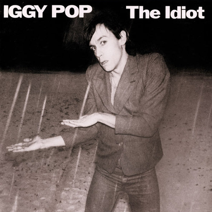 Iggy Pop – The Idiot (LP, Vinyl Record Album)
