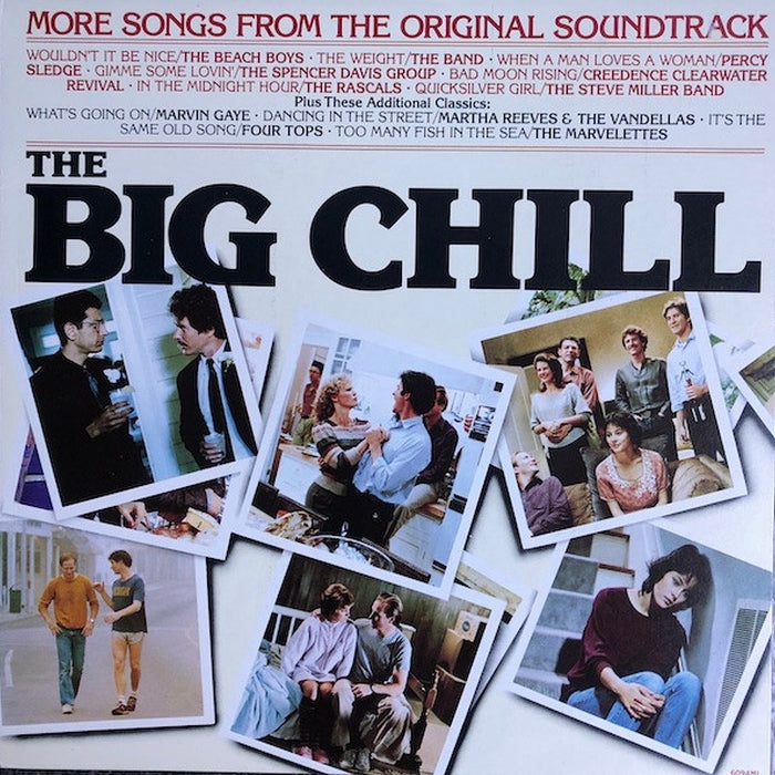 Various – More Songs From The Original Soundtrack Of The Big Chill (LP, Vinyl Record Album)