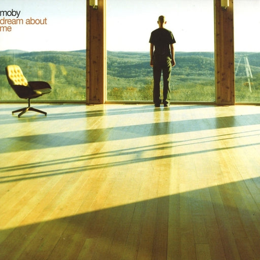 Moby – Dream About Me (LP, Vinyl Record Album)